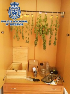 El secadero de las plantas también estaba en otro armario.