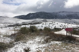 Muchos rondeños, serranos y visitantes han parado en la zona para fotografiarse con la nieve