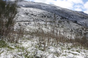 Las sierras se han cubierto de una capa blanquecina