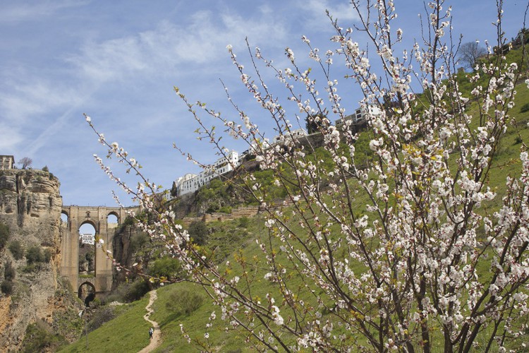 Los colores de la primavera comienzan a tomar el campo