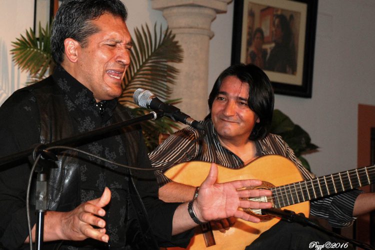 Más de 200 personas se dieron cita en el Festival Flamenco a beneficio de las Hermanitas de los Pobres