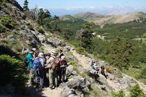 Las jornadas han sido en la Serranía.