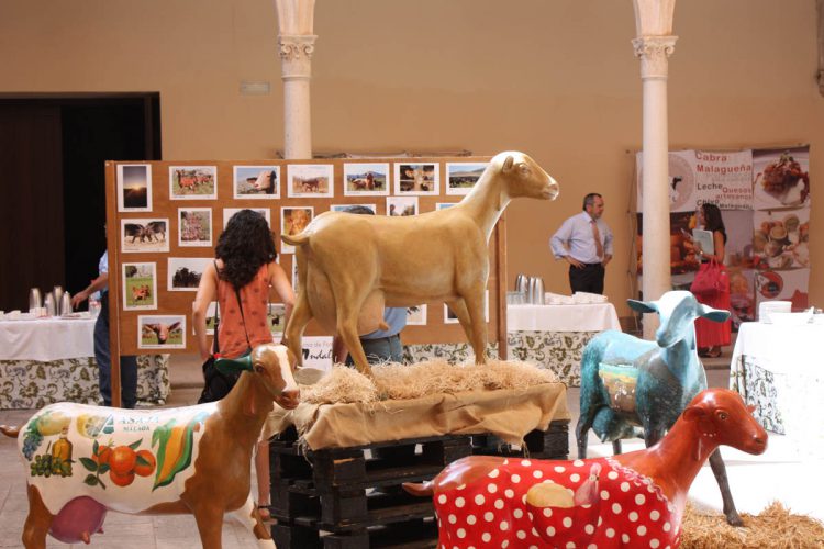 Ronda acoge este jueves y viernes el VII Foro Nacional del Caprino