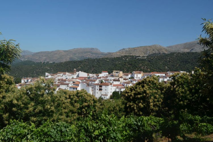 Faraján se prepara para vivir este viernes la Noche de San Juan