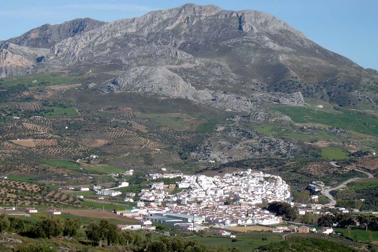 Detienen a un cazador furtivo en El Burgo por la muerte involuntaria de su compañero