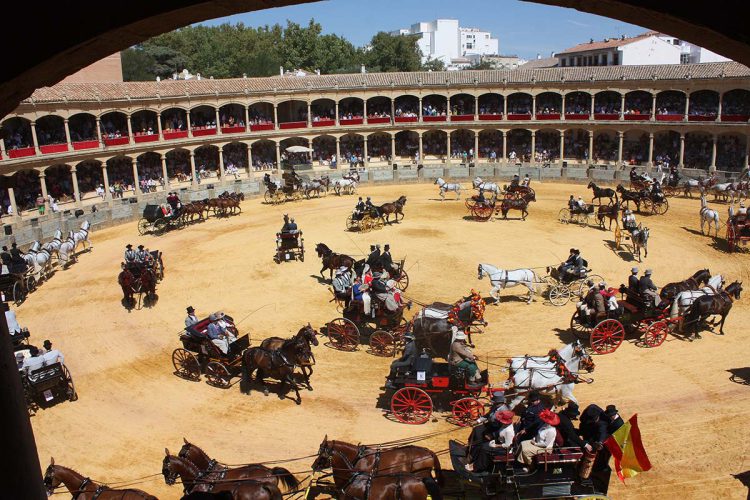 Espectáculo, tradición, elegancia y solemnidad en los Enganches y el desfile de la Guardia Real