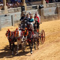 La Exhibición de Enganches trae cada año carruajes de toda Andalucía.
