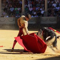 El rondeño Javier Orozcvo en una novillada en la bicentenaria plaza de toros.