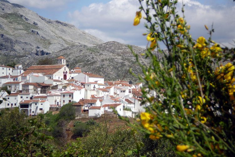 Cartajima ofrece las primeras ayudas económicas a familias con hijos pequeños a su cargo