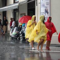 Ronda ya acumula 600 litros de agua de lluvia desde que comenzó el año agrícola