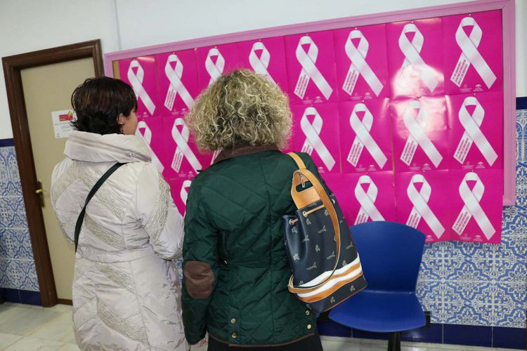 Charlas en colegios, recogida de firmas y lazos en la calle de La Bola para el Día contra la Violencia de Género