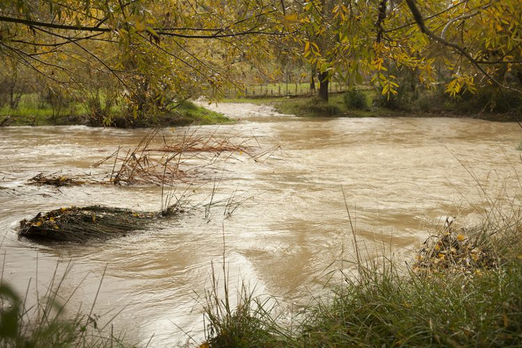 La lluvia deja en algunos puntos de la Serranía más de 90 litros de agua