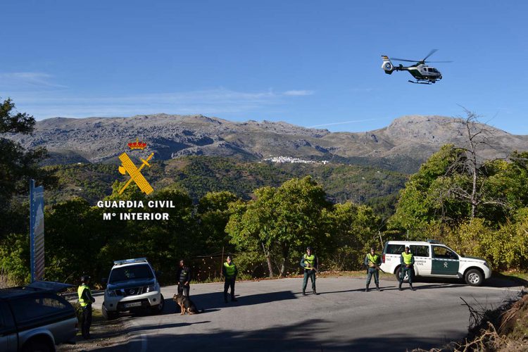 La Guardia Civil detiene a cinco personas por robar castañas en el Valle del Genal