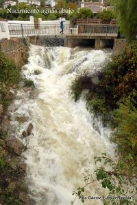 Aguas abajo en el nacimiento de Cascajares. Foto Ana Gámez y Jesús Ripalda.