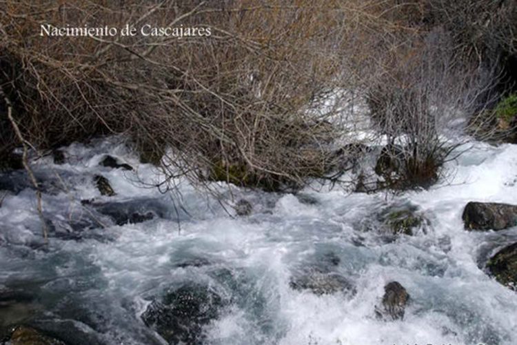 Cabañuelas para diciembre: ‘Lluvias en la Purísima Concepción, llueve en Carnaval, Semana Santa y Resurrección’