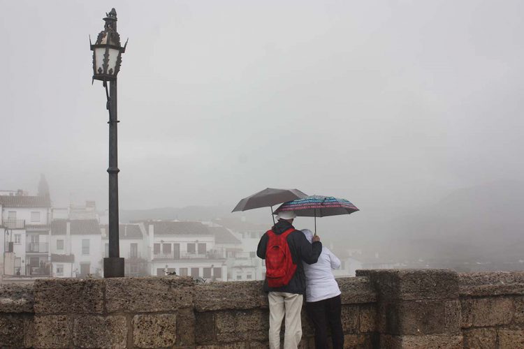La Serranía aguanta bien el temporal a pesar de que en el Genal se han registrado hasta 120 litros en 24 horas