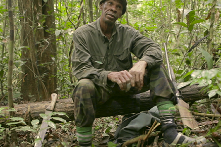 El documental ‘El secreto del bosque’ gana el primer premio de la Bienal de Cine Científico de Ronda