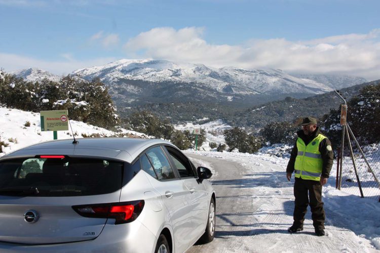 Medio Ambiente cierra al tráfico rodado los accesos al Parque Natural Sierra de las Nieves por motivos de seguridad