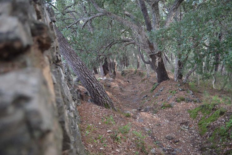 De ruta por Jubrique:  el impresionante sendero de Matagallar