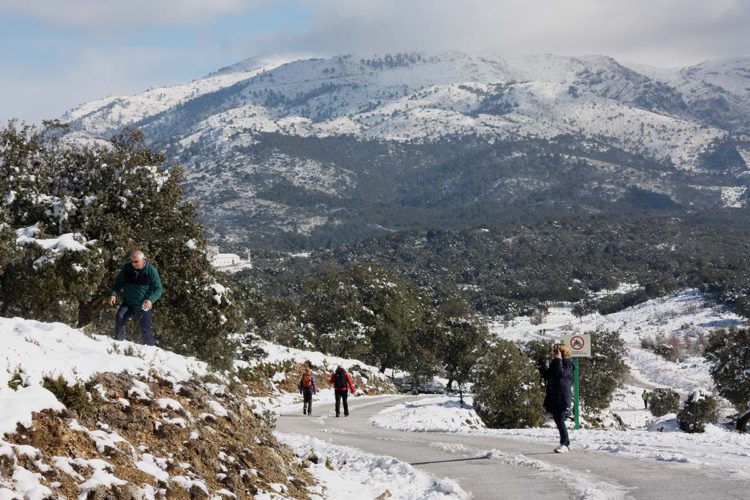 Trece municipios unen sus fuerzas para acelerar la declaración de la Sierra de las Nieves como Parque Nacional