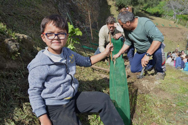Alumnos de Jubrique plantan castaños en las inmediaciones del pueblo y conocen su valor ambiental y económico
