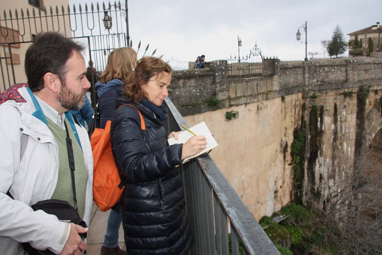 IU propone otra vez restringir el tráfico en el Puente Nuevo, aunque ahora dice que sería de forma «provisional»