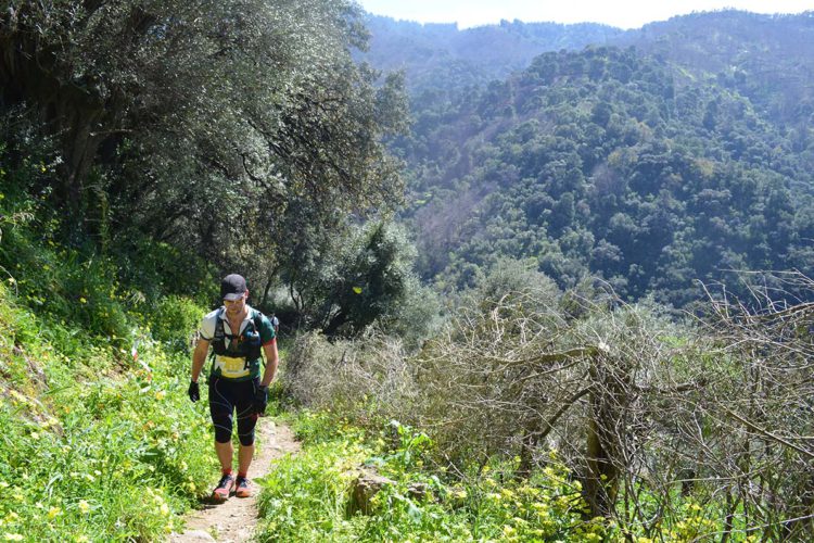 Un total de 360 deportistas corrieron el II Trail de Jubrique que discurrió por parajes del Genal