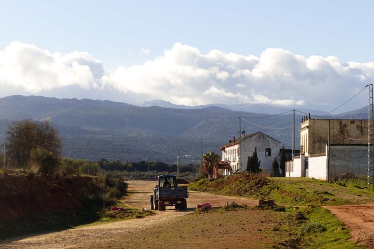 Organizan una marcha para reclamar que se reinicien las obras de la variante de Arriate y que dentro de ella se conserve la Cañada Verde