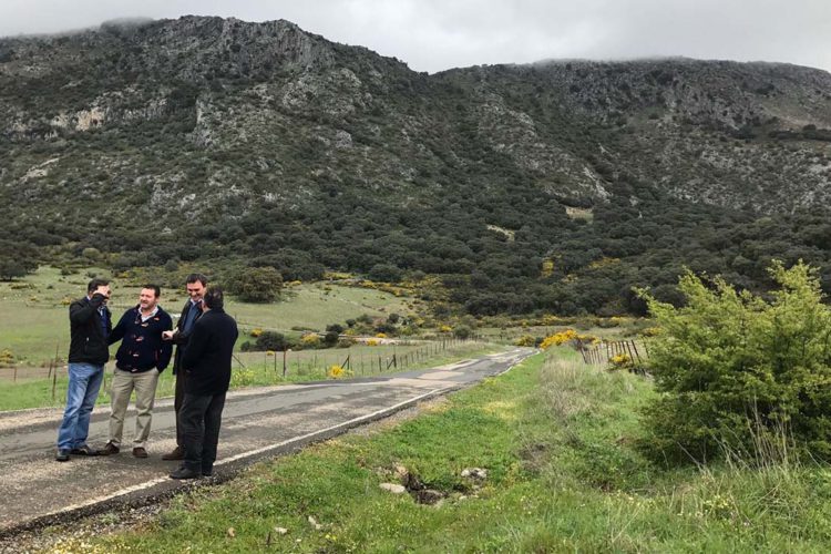 El PP reclama a la Junta el arreglo urgente de la carretera Cortes de la Frontera-Ubrique, una de las más peligrosas de la provincia