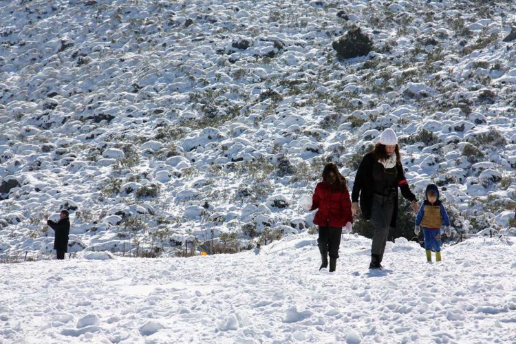 IU y Podemos piden en el Parlamento Andaluz y en el Congreso que Sierra Bermeja forme parte del futuro Parque Nacional Sierra de las Nieves