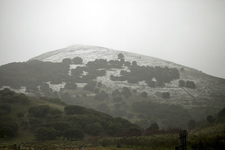 Vuelve la nieve a la Serranía cuando faltan pocos días para que entre la primavera