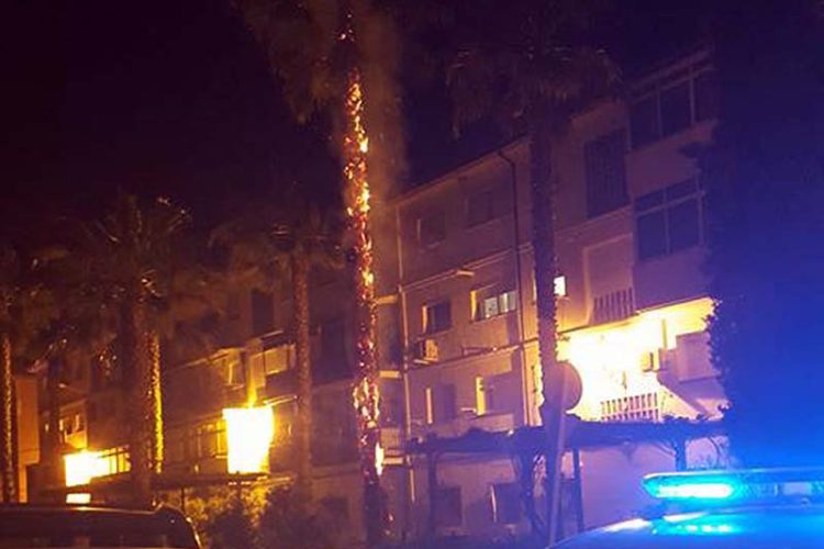 Unos desconocidos ponen en peligro a viviendas y a coches en la avenida Victoria tras prender fuego a una palmera