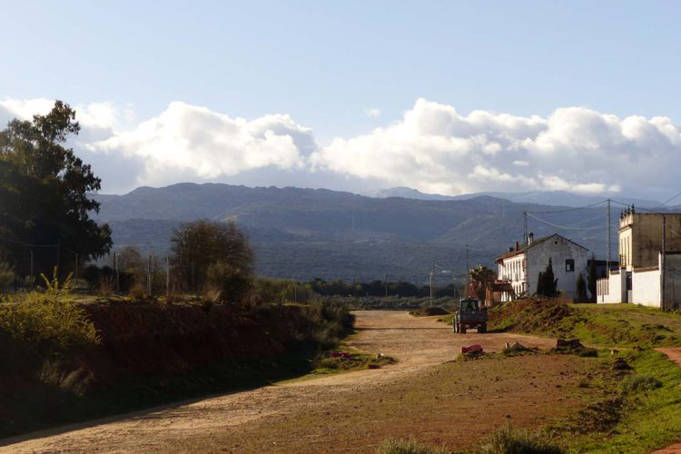 La Junta anuncia que las obras de la variante de Arriate se reiniciarán en junio