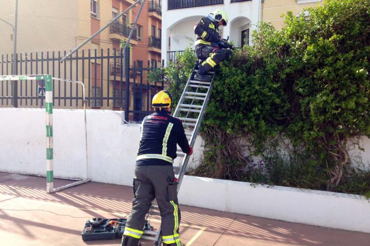 Los bomberos realizan ocho actuaciones en Ronda, de momento, por las fuertes rachas de viento