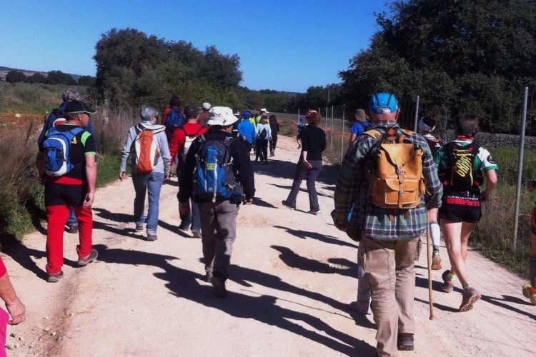 Cerca de cien personas reclaman que se mantenga el trazado de la Cañada Verde junto a la variante de Arriate