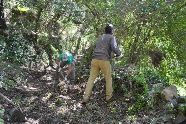 Alpandeire recupera tres senderos tradicionales que recorren sus parajes