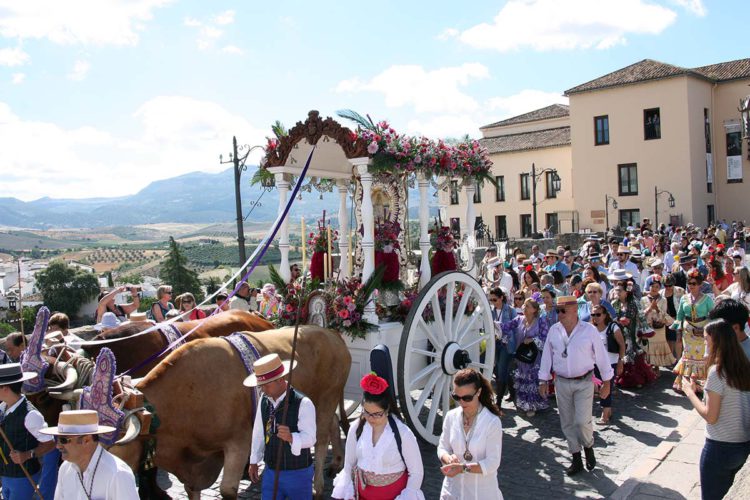 Más de 200 peregrinos rondeños inician el camino hacia la aldea de la Virgen del Rocío