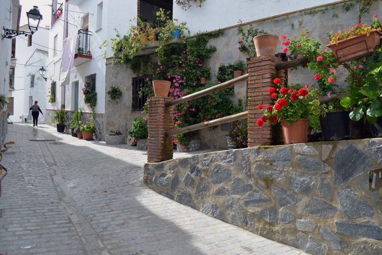 Pujerra finaliza los trabajos de mejora en los accesos al Museo Municipal de la Castaña