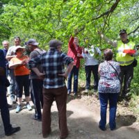 Productores y agentes de Medio Ambiente en una suelta del torymus en el Genal.