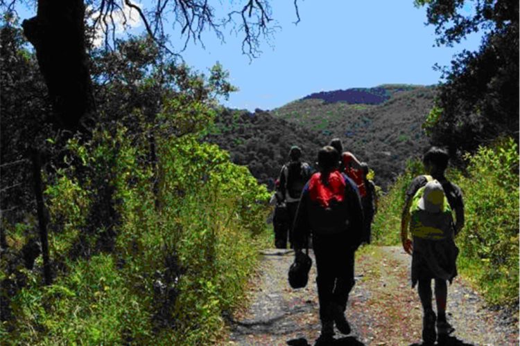 Los pequeños del Club de Kárate Bushido recorrieron los parajes del Genal en un nuevo encuentro con la naturaleza