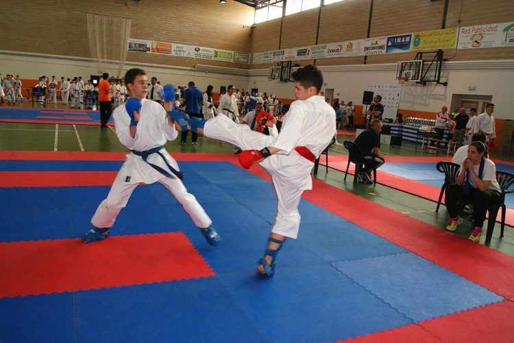 Doce karatecas del Club Bushido de Ronda se subieron al pódium en la fase final de la Liga Provincial -13 años