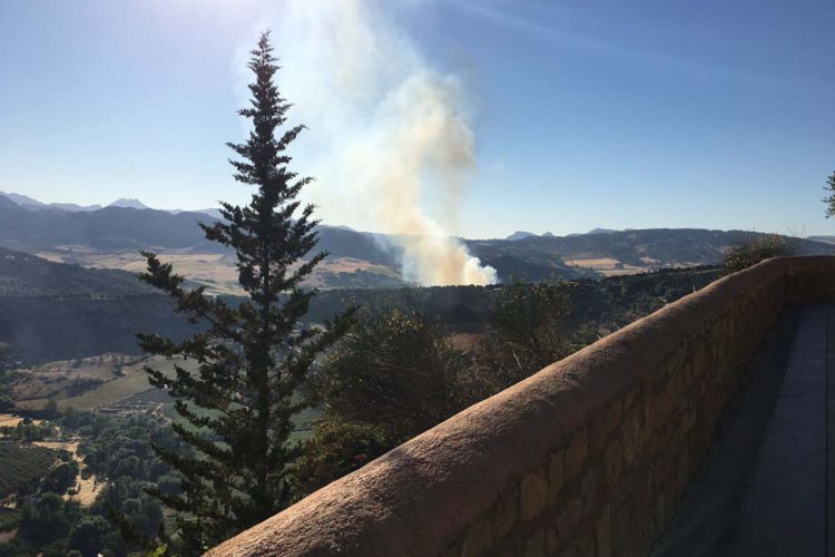 Infoca y bomberos sofocan un conato de incendio en la carretera Ronda-Benaoján