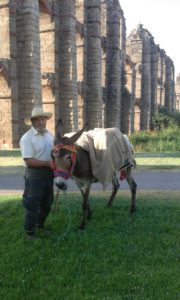 Isidro en la ciudad monumental de Mérida.