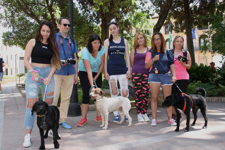 RAU pone en marcha una campaña para fomentar la adopción de animales abandonados