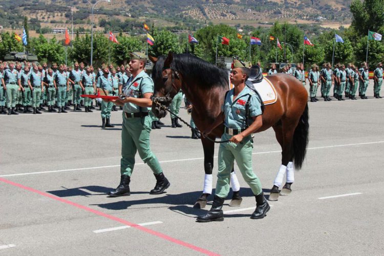 La Legión celebra la festividad de Santiago Apóstol, patrón de España y del Arma de Caballería, con una parada militar