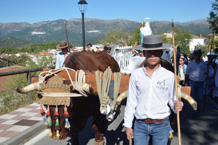 Gran ambiente en la romería de la Virgen del Rosario de Faraján