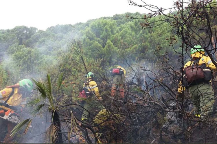 Un incendio en la A-397 Ronda-San Pedro de Alcántara provoca problemas de tráfico a la altura de la Zagaleta