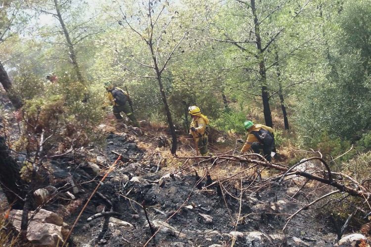 Estabilizado el incendio declarado en la carretera Ronda-San Pedro, en la que se está dando paso de forma alternativa a los vehículos