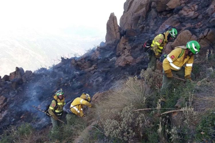 Efectivos del Plan Infoca siguen trabajando para controlar el incendio declarado en la carretera A-397 Ronda-San Pedro