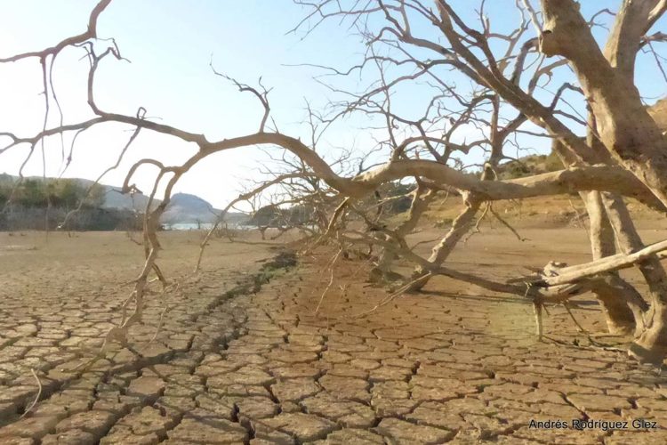 Cabañuelas para la Serranía: «en octubre, de hoja el campo se cubre»